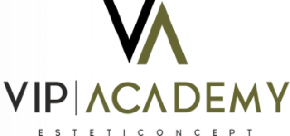 Vip Academy
